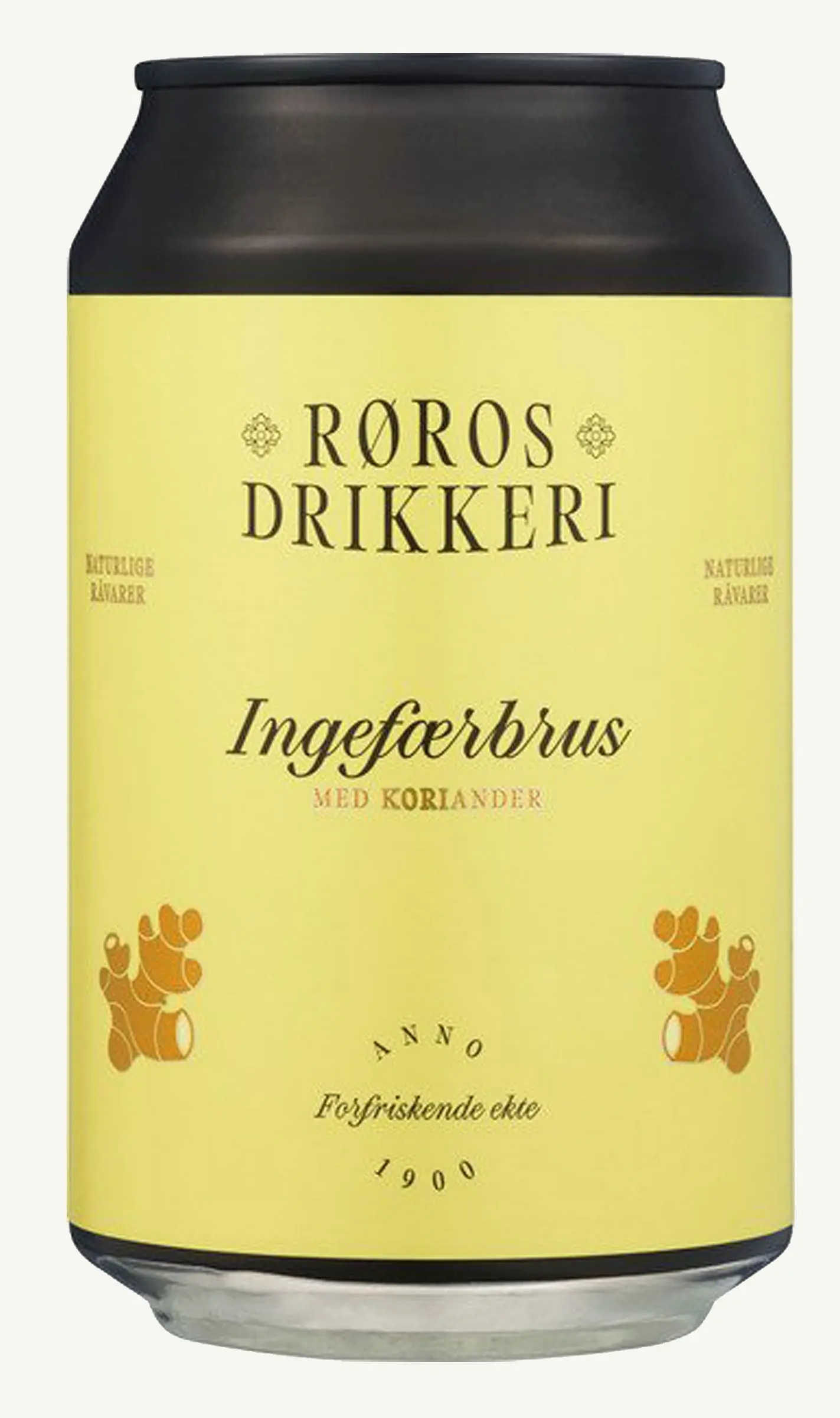 Ingefærbrus med koriander.