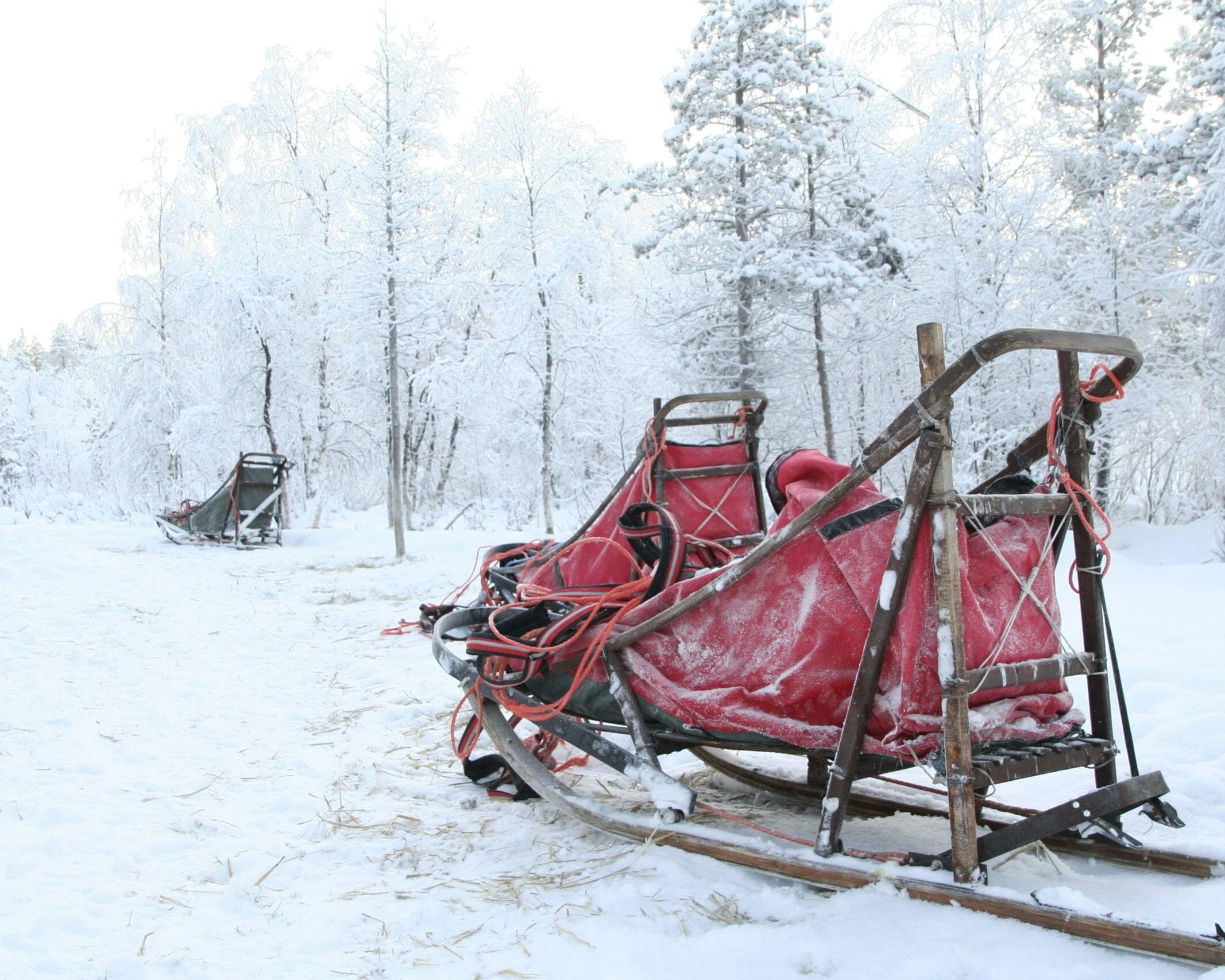 Hundeslede. Foto: Jørgen Vervliet